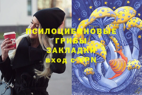 spice Арсеньев