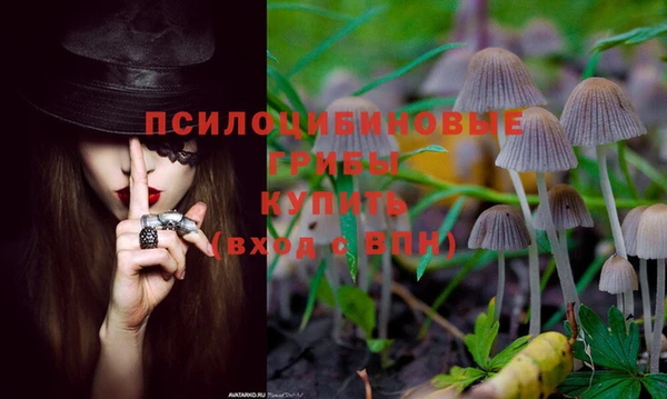 spice Арсеньев