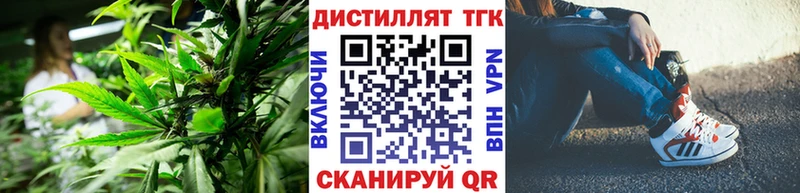 Купить где  Артёмовск  ТГК Wax 